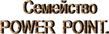        C�������� 
   POWER  POINT.