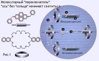 molek2.jpg (16972 bytes)