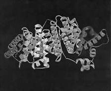 ���. 1.  ��������� (����������������) ��������� ������������� ���������, ���������� �� 607 �������������� ��������