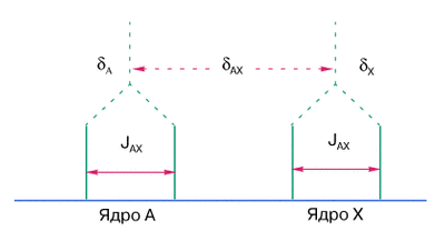 ��� ������� ��� �������, ��������� �� ��������� ���� � � � �� ������ I = 1/2