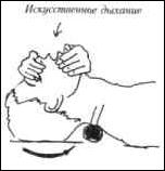 �������� - ��������