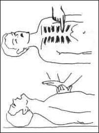 �������� - ��������