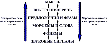 shema1.gif (8144 bytes)