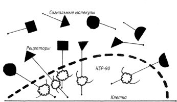 ������������ �������� ��������