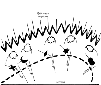 ������������ �������� ��������