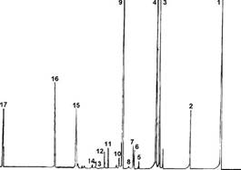 ��������� ����������� ������������������ ������������� ������� ������ ������������ ����������