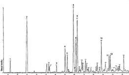 ��������� ����������� ������������������ ������������� ������� ������ ������������ ����������