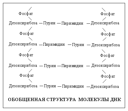 ����������� �������