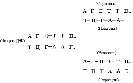 ����������� �������