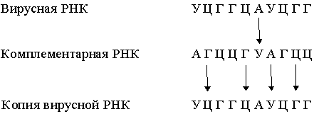 ����������� �������