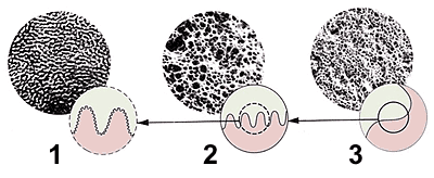 Fujifilm (�������� ���������)