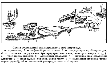 ������������� ������������