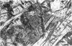 ������������� ��������