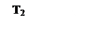 ������� 2 (��� �������):    T2

