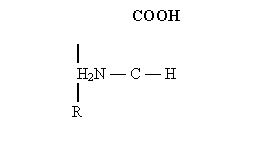 ������������, �� �������������