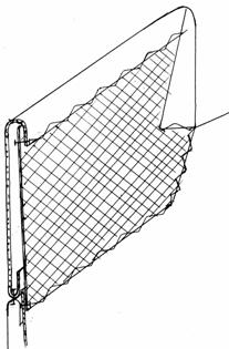 ����� �������� ������