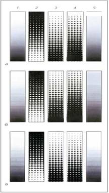 ������������ �������� ���� (����� ��������)