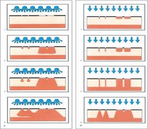 ������������ �������� ���� (����� ��������)