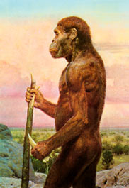 ���� ������� � �����