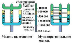 ���� ������� � �����