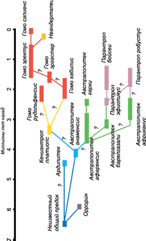 ���� ������� � �����