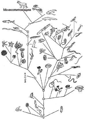 ������������ ������� ������������