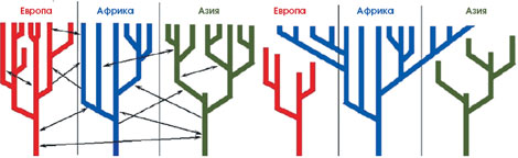 ������������ ������� ������������