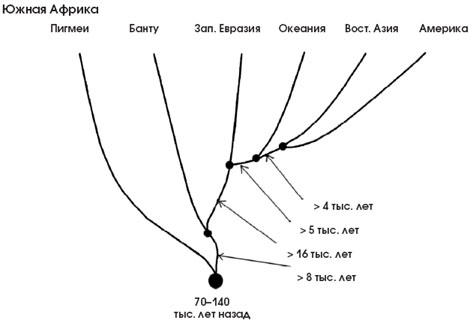 ������������ ������� ������������