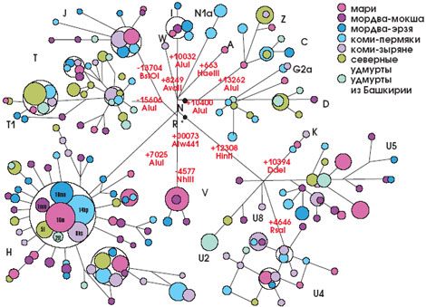 ������������ ������� ������������