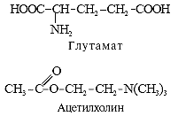 ����������������� � �������� ����