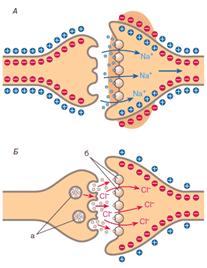 ����������������� � �������� ����