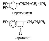 ����������������� � �������� ����