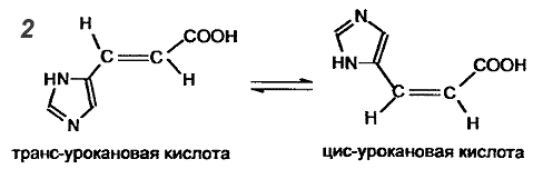 ������ �� ������