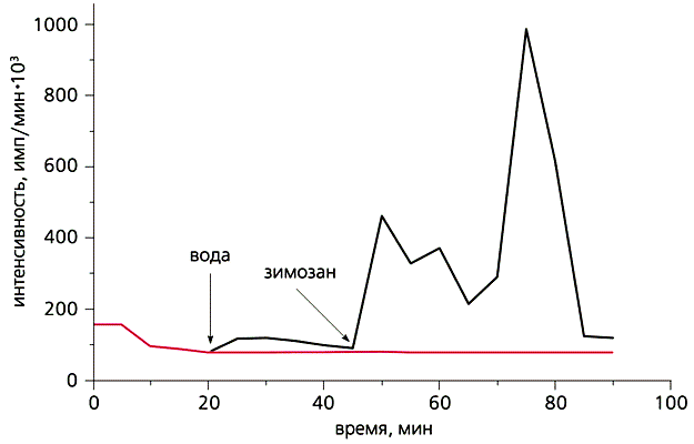 �������� ������� ����� ������