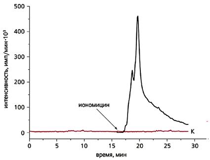 �������� ������� ����� ������