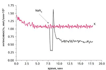 �������� ������� ����� ������