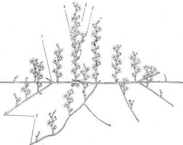 ���������� ������� � �������� ������������������� ��������� ��������