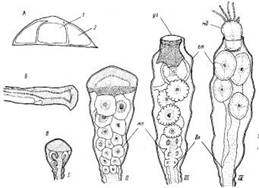 ���������� ������� � �������� ������������������� ��������� ��������