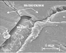 ������� ������� ����������� ������������ ������� �� �� ����������������� ��������� � ��������������� ������� �������