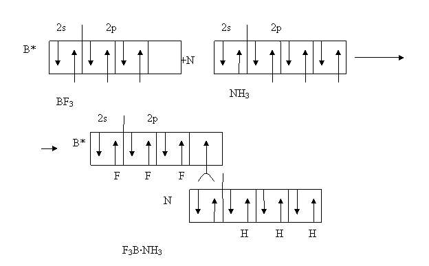 ���������� �����. ���� �������������� �������