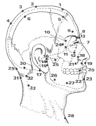 �������� ������