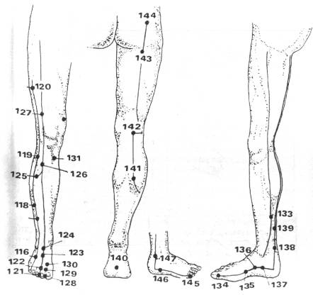 �������� ������