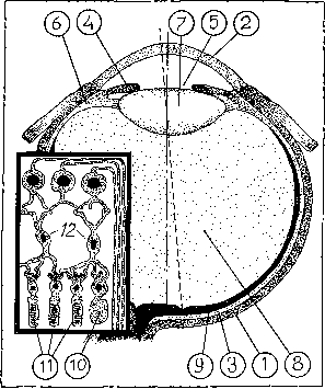 ������������ � ����� � ����������