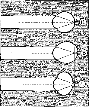 ������������ � ����� � ����������